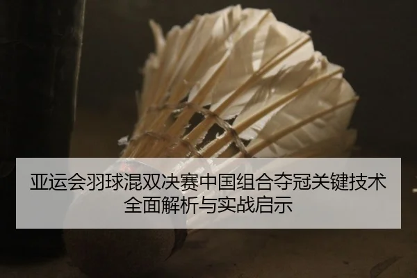 亚运会羽球混双决赛中国组合夺冠关键技术全面解析与实战启示